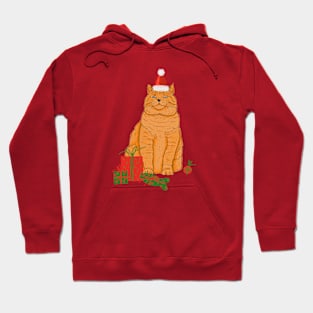 Christmas Cat With Gifts Hoodie